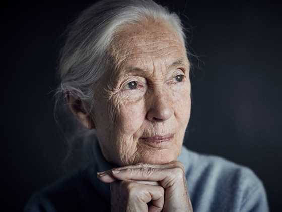 Jane Goodall Auckland