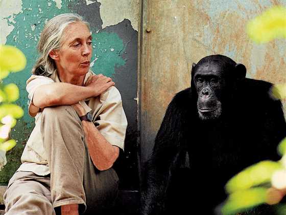 Jane Goodall - Wellington 