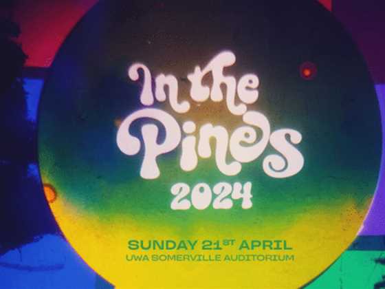 In the Pines 2024
