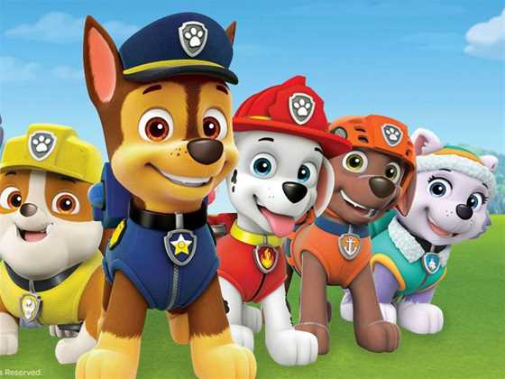 Paw Patrol Live! "Race to the Rescue"