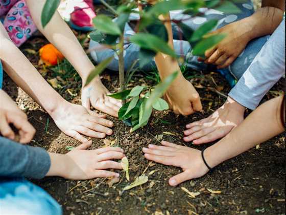 Community Tree-Planting Day 