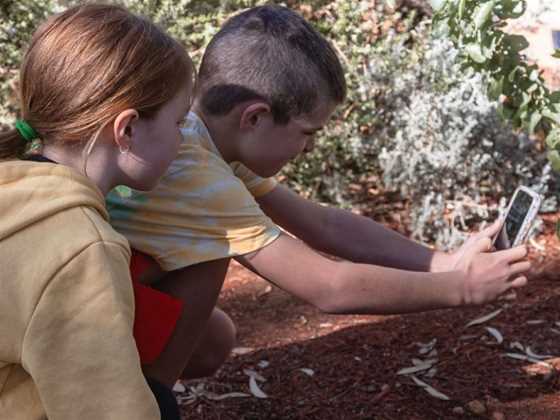 Museum of the Goldfields school holiday workshops