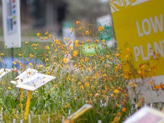 Friends of Kings Park Plant Sales