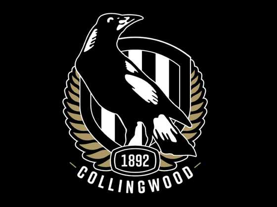 Collingwood AFL 2024 Season
