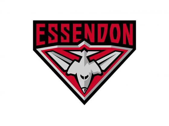 Essendon AFL 2024 Season