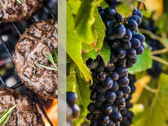 Shiraz and Venison on 21 September 2024