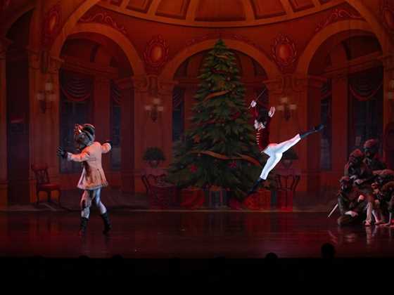 The Nutcracker