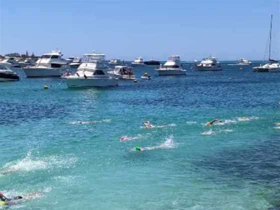 Swim Thru Rottnest 