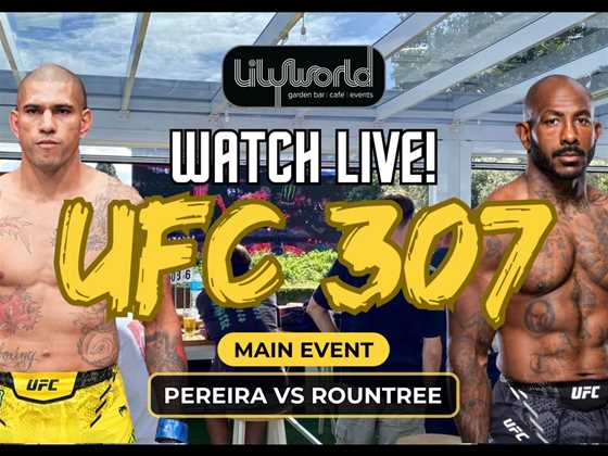 UFC 307