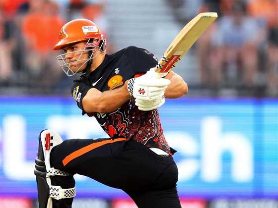 Big Bash League 2024/25 - Perth Scorchers