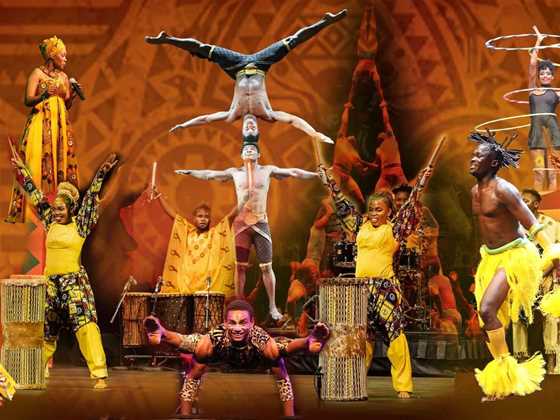 Cirque Africa: Hastings