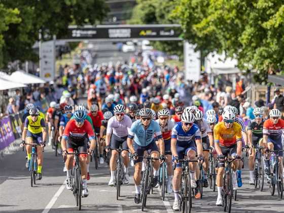 2025 Road Cycling Nationals