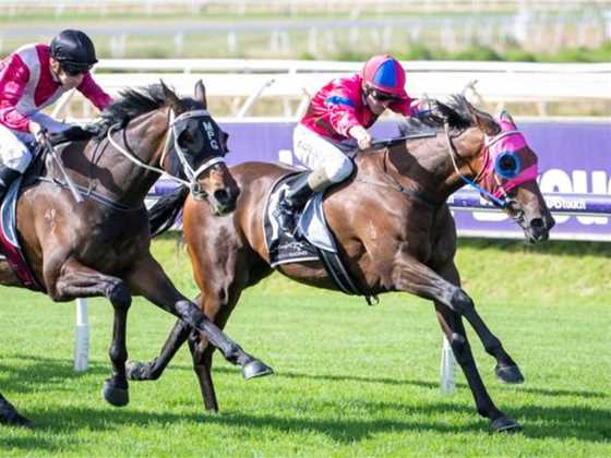 TABtouch Perth Cup Day at Ascot