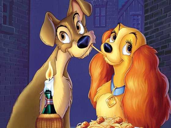 Lady and The Tramp