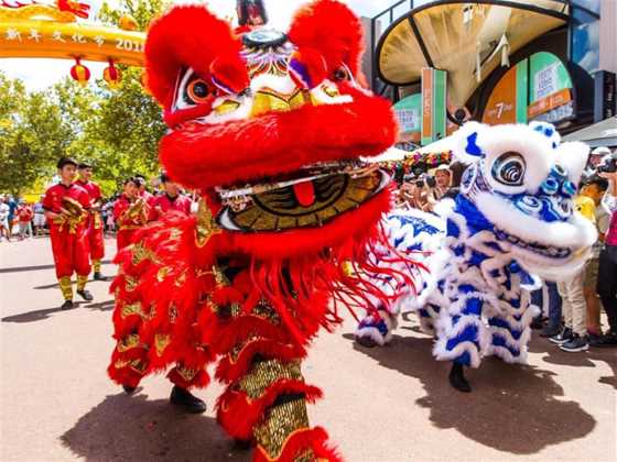 Lunar New Year Night Markets 