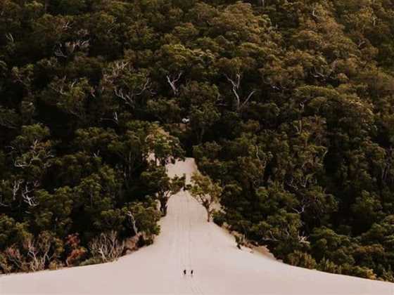 Dunes & Forest Adventure @ Pinot Picnic Festival