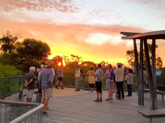 Summer Sunset Walks (Bold Park)