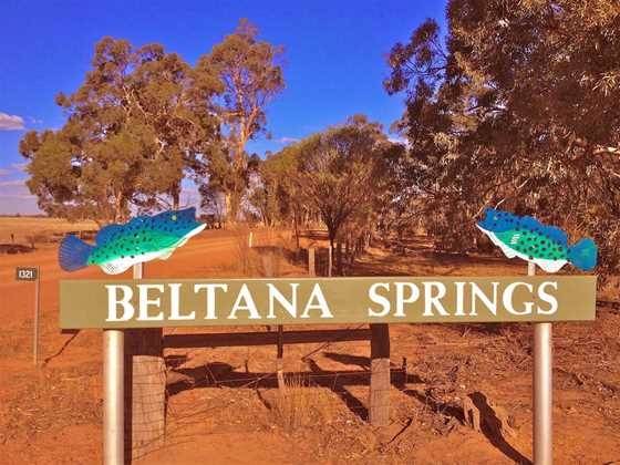 Beltana Springs