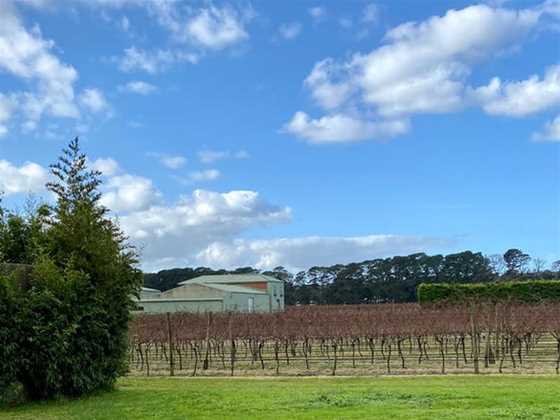 Tallarida Winery and Vineyard
