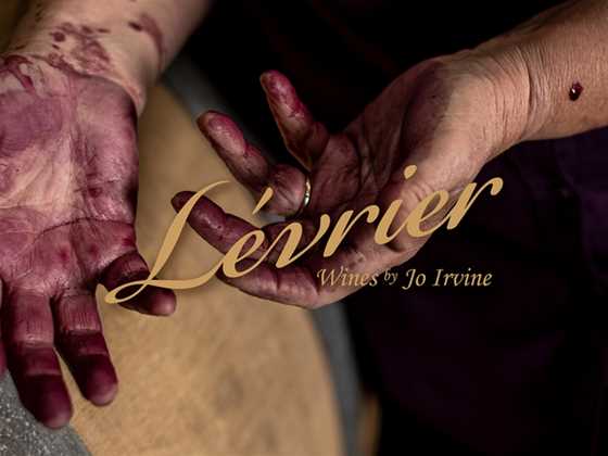 Levrier Wines by Jo Irvine