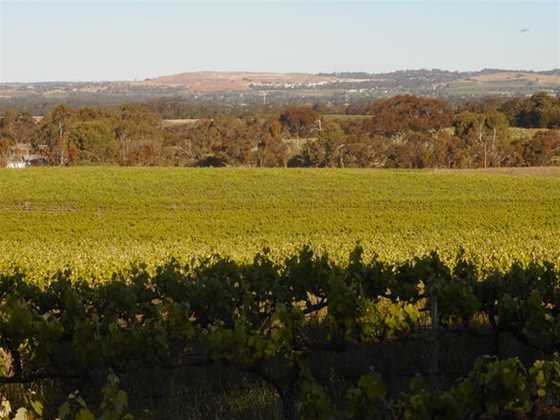 Moppa Hills Vineyard