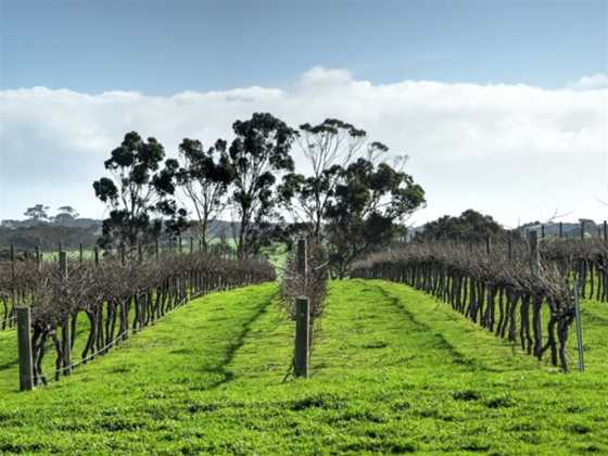 Springs Road Wines