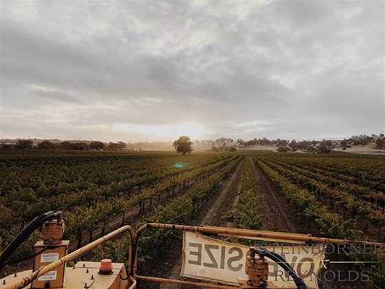 Steinborner & Reynolds Family Vineyards