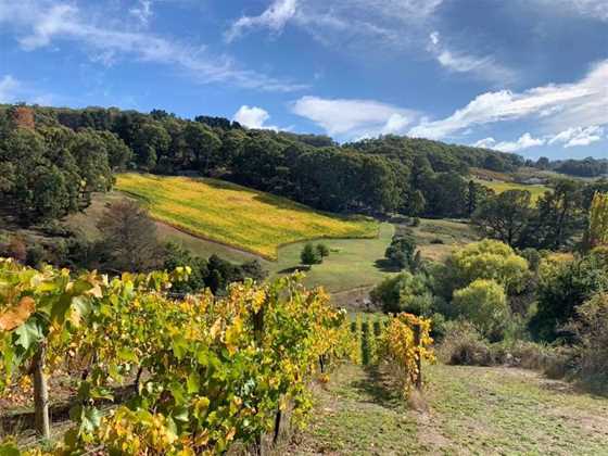 Lofty Valley Wines